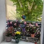 Cozy Place - Bordure De Garonne & Stade Toulousain *