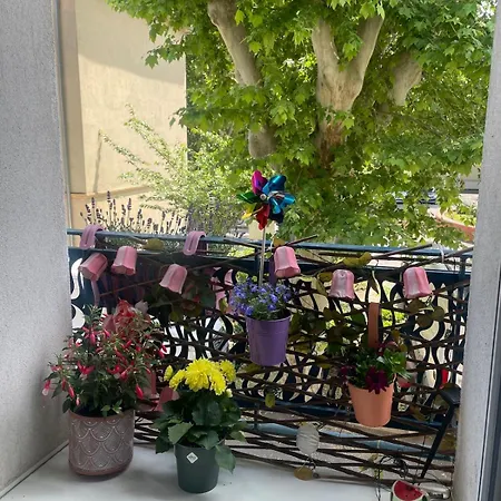 Cozy Place - Bordure De Garonne&stade Toulousain *