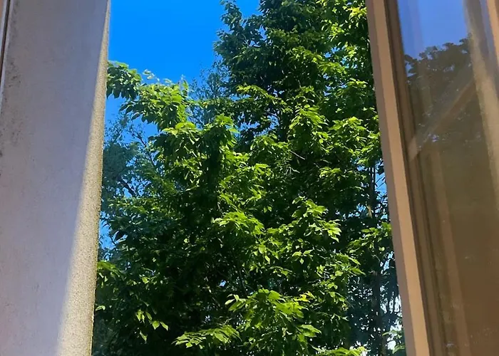 Appartamento Cozy Place - Bordure De Garonne & Stade Toulousain *