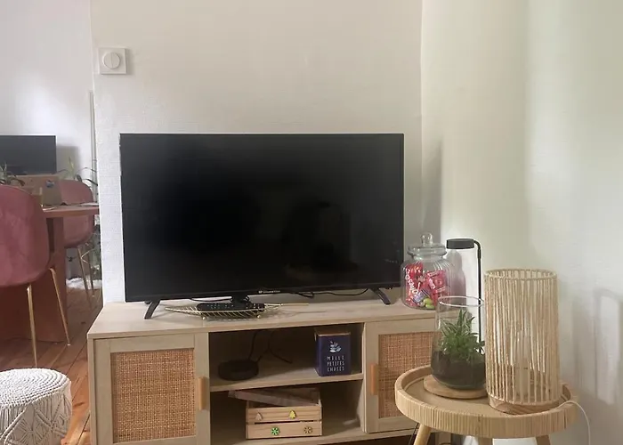 Apartmán Cozy Place - Bordure De Garonne & Stade Toulousain *